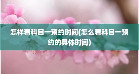 怎样看科目一预约时间(怎么看科目一预约的具体时间)