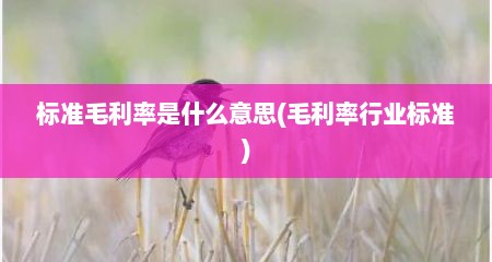 标准毛利率是什么意思(毛利率行业标准)