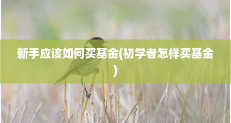 新手应该如何买基金(初学者怎样买基金)