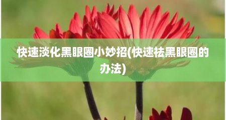 快速淡化黑眼圈小妙招(快速祛黑眼圈的办法)