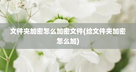 文件夹加密怎么加密文件(给文件夹加密怎么加)