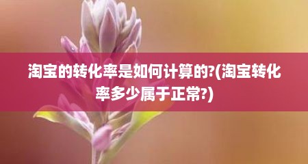 淘宝的转化率是如何计算的?(淘宝转化率多少属于正常?)