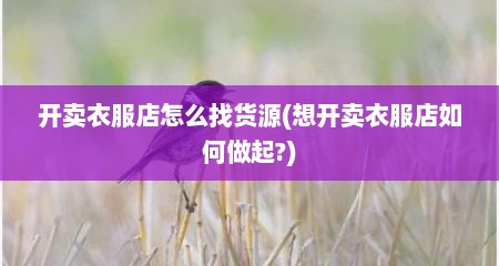 开卖衣服店怎么找货源(想开卖衣服店如何做起?)