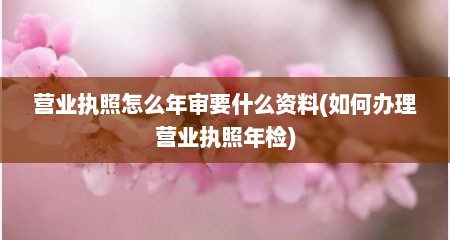 营业执照怎么年审要什么资料(如何办理营业执照年检)