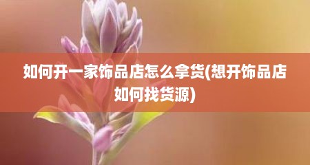 如何开一家饰品店怎么拿货(想开饰品店如何找货源)