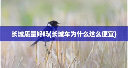 长城质量好吗(长城车为什么这么便宜)