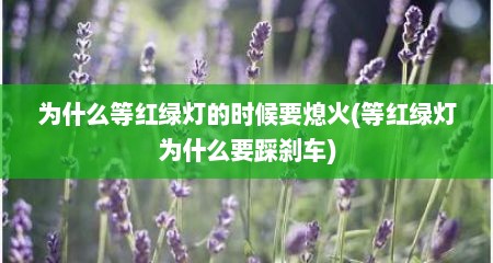 为什么等红绿灯的时候要熄火(等红绿灯为什么要踩刹车)