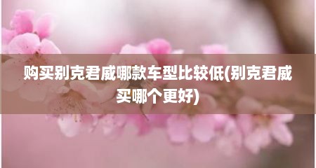 购买别克君威哪款车型比较低(别克君威买哪个更好)