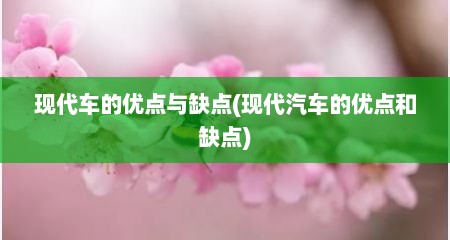 现代车的优点与缺点(现代汽车的优点和缺点)