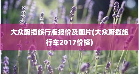 大众蔚揽旅行版报价及图片(大众蔚揽旅行车2017价格)