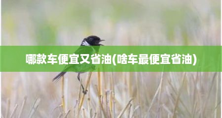哪款车便宜又省油(啥车最便宜省油)