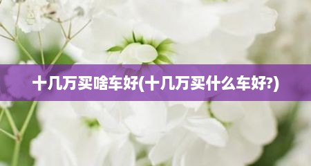 十几万买啥车好(十几万买什么车好?)