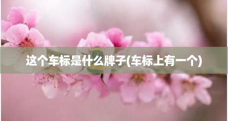 这个车标是什么牌子(车标上有一个)