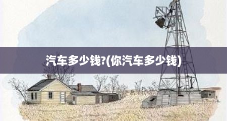 汽车多少钱?(你汽车多少钱)