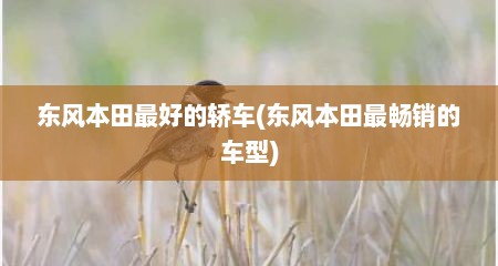 东风本田最好的轿车(东风本田最畅销的车型)