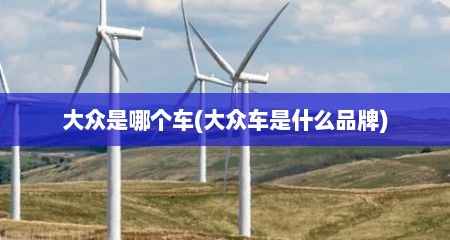 大众是哪个车(大众车是什么品牌)