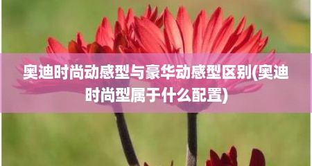 奥迪时尚动感型与豪华动感型区别(奥迪时尚型属于什么配置)