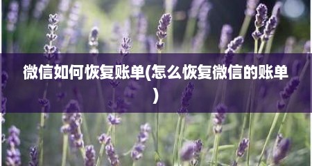 微信如何恢复账单(怎么恢复微信的账单)