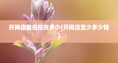 开网店最低投资多少(开网店至少多少钱)