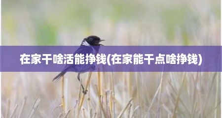 在家干啥活能挣钱(在家能干点啥挣钱)