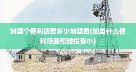 加盟个便利店要多少加盟费(加盟什么便利店最赚钱投资小)