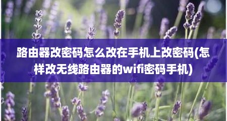 路由器改密码怎么改在手机上改密码(怎样改无线路由器的wifi密码手机)