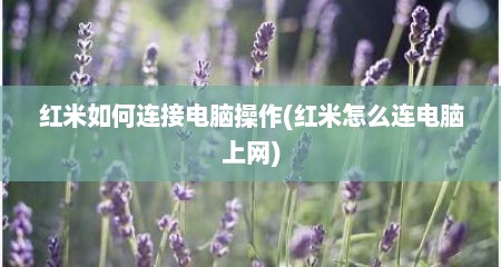 红米如何连接电脑操作(红米怎么连电脑上网)