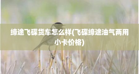 缔途飞碟货车怎么样(飞碟缔途油气两用小卡价格)