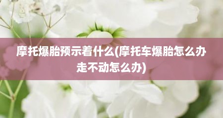 摩托爆胎预示着什么(摩托车爆胎怎么办走不动怎么办)