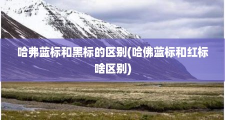 哈弗蓝标和黑标的区别(哈佛蓝标和红标啥区别)