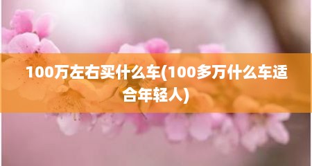 100万左右买什么车(100多万什么车适合年轻人)