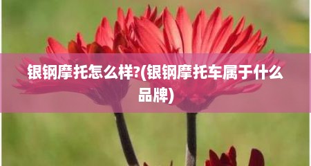 银钢摩托怎么样?(银钢摩托车属于什么品牌)