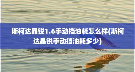 斯柯达晶锐1.6手动挡油耗怎么样(斯柯达晶锐手动挡油耗多少)
