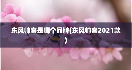 东风帅客是哪个品牌(东风帅客2021款)