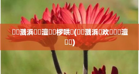 鎾炶溅浜嬫晠澶勭悊椤哄簭(鎾炶溅浜嬩欢鎬庝箞澶勭悊)