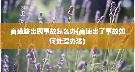 高速路出现事故怎么办(高速出了事故如何处理办法)