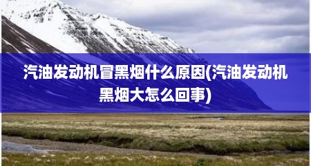 汽油发动机冒黑烟什么原因(汽油发动机黑烟大怎么回事)