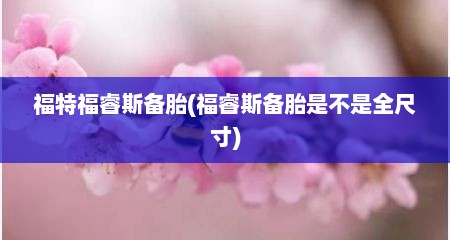 福特福睿斯备胎(福睿斯备胎是不是全尺寸)