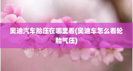 奥迪汽车胎压在哪里看(奥迪车怎么看轮胎气压)