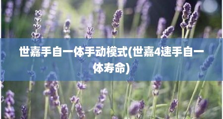 世嘉手自一体手动模式(世嘉4速手自一体寿命)
