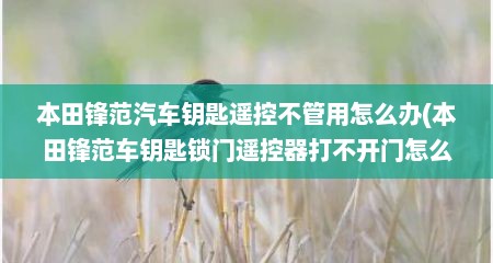 本田锋范汽车钥匙遥控不管用怎么办(本田锋范车钥匙锁门遥控器打不开门怎么解锁)