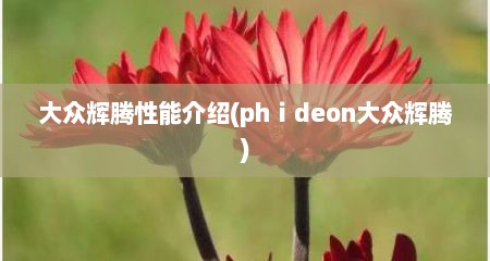 大众辉腾性能介绍(phⅰdeon大众辉腾)