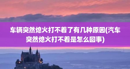 车辆突然熄火打不着了有几种原因(汽车突然熄火打不着是怎么回事)