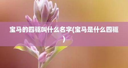 宝马的四驱叫什么名字(宝马是什么四驱)