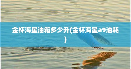 金杯海星油箱多少升(金杯海星a9油耗)