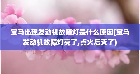 宝马出现发动机故障灯是什么原因(宝马发动机故障灯亮了,点火后灭了)