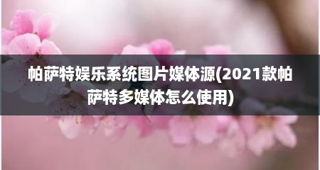帕萨特娱乐系统图片媒体源(2021款帕萨特多媒体怎么使用)