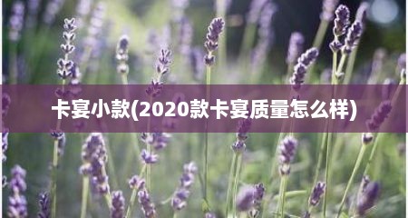 卡宴小款(2020款卡宴质量怎么样)