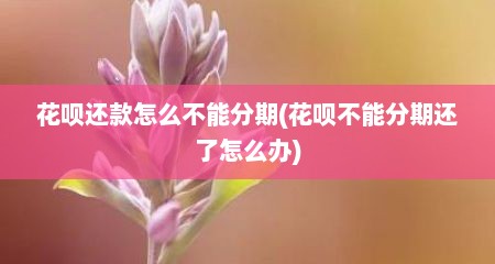 花呗还款怎么不能分期(花呗不能分期还了怎么办)