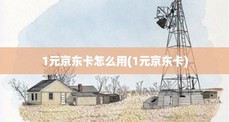 1元京东卡怎么用(1元京东卡)